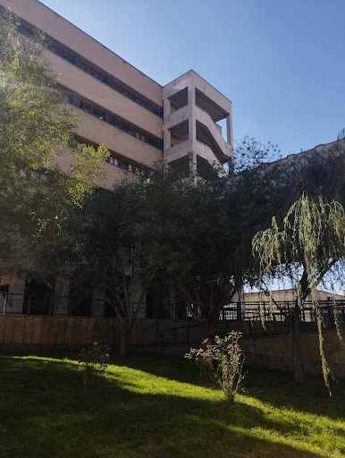 آموزشگاه رانندگی میلاد - تصویر 4