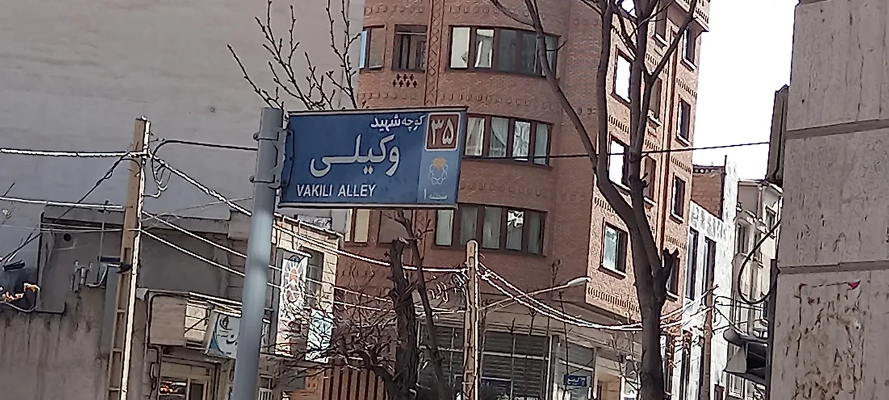 پوشا ک ابریشم - تصویر 4