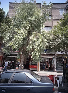 گالری نگار