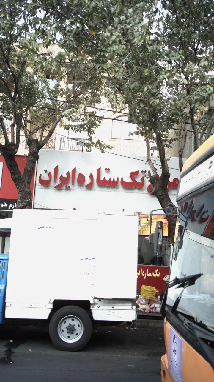 مرغ تک ستاره ایران