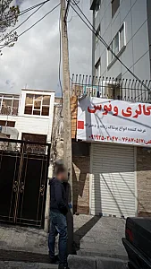 گالری ونوس