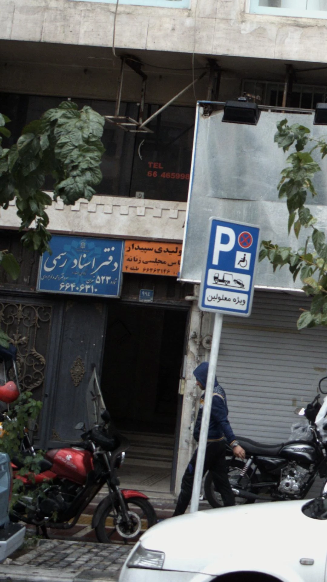 کنزل تریکو - تصویر 3