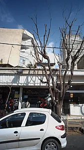 بوتیک بانوی خاص