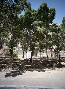 پوشاک پینگو