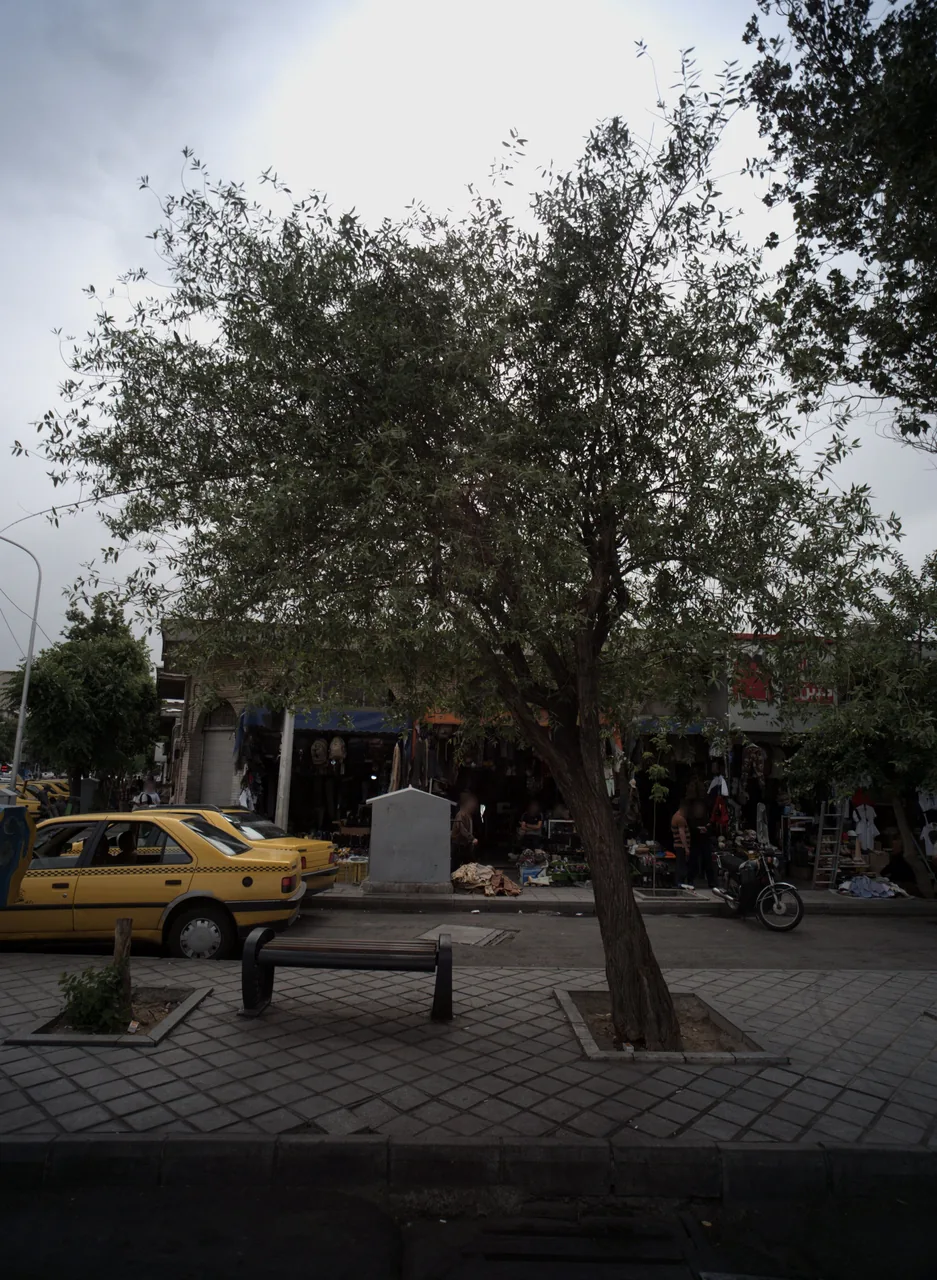 فروشگاه اکبری