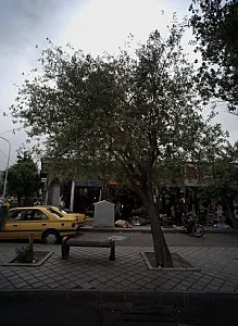 فروشگاه اکبری