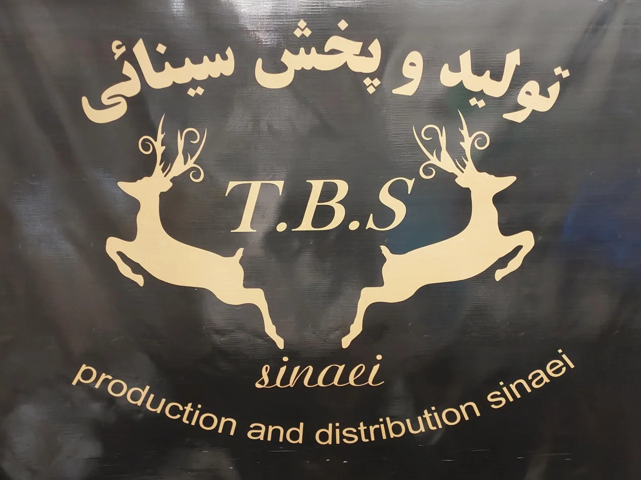 تولید و پخش سینائی (TBS) - تصویر 4