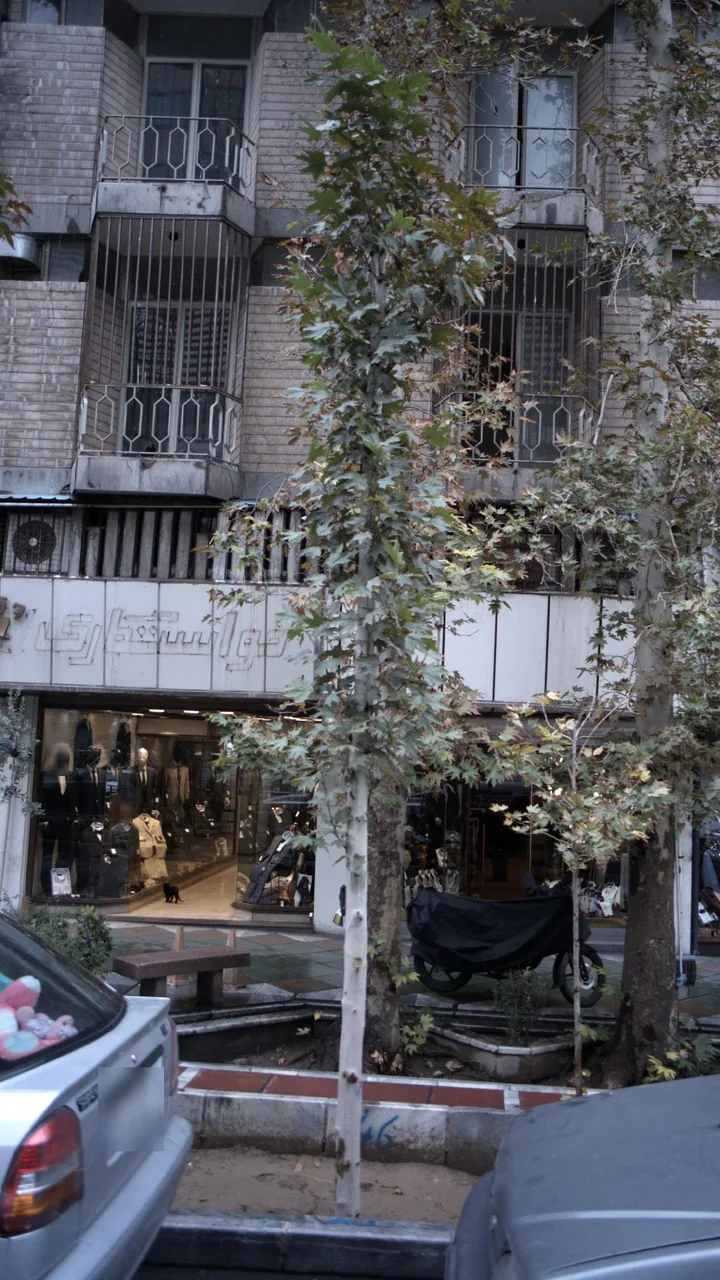 کت و شلوار فروشی - تصویر 3