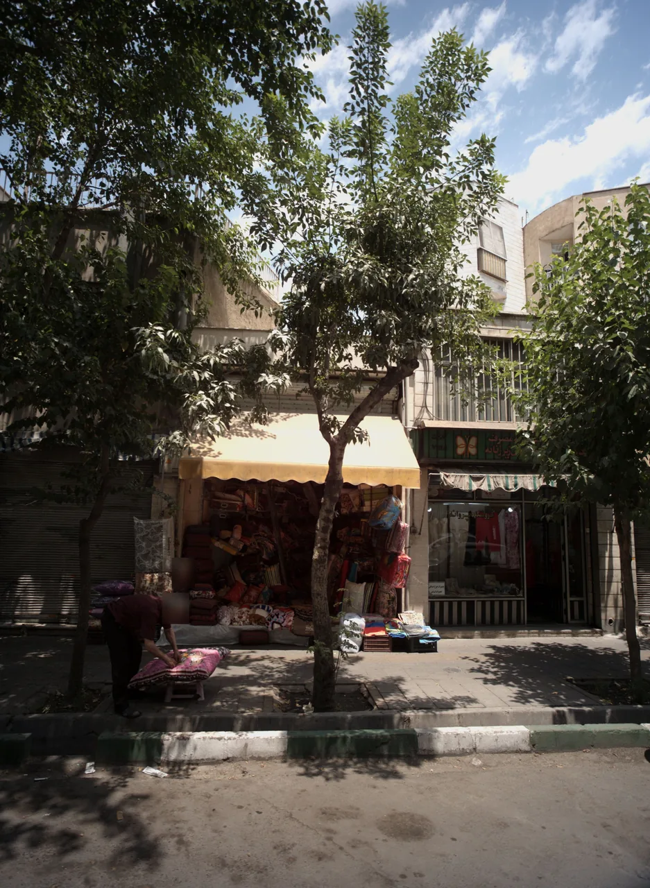 فروشگاه پروانه