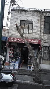 لوازم ایمنی اصغری