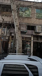 پرینت رنگی پلات رنگی