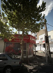 فروشگاه ابزار چکش ترک پور