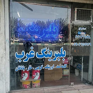 پخش بلبرینگ غرب تهران