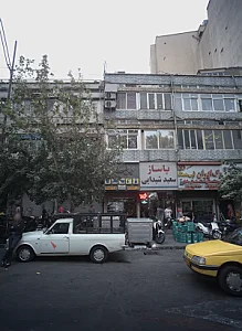 وگ ایران