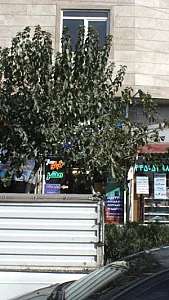 تابلو ساز مهر