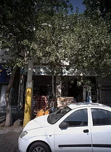 فروشگاه رضوان