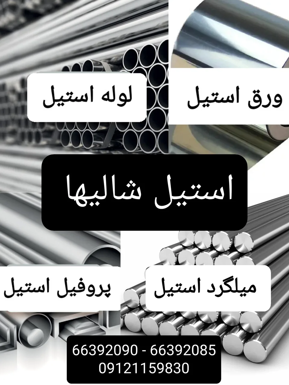 استیل شالیها - تصویر 2