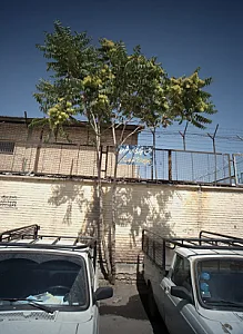 مجتمع تجاری 17شهریور