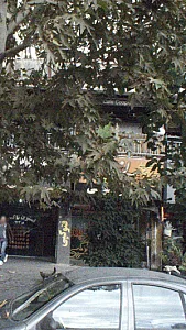کپی