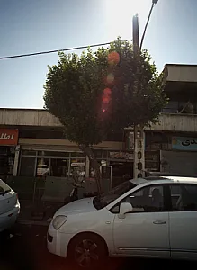 ابزار و یراق طباطبائی