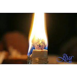 کافه ژیوا
