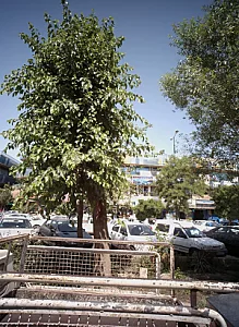 ایمن ابزارایران صنعت