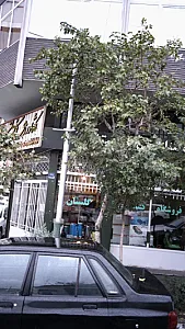 کشاورزی گلستان