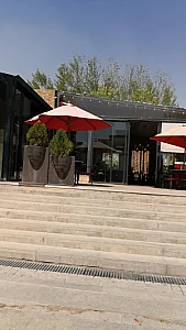 ایلی کافه