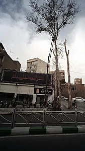 سرای سنتی باغ
