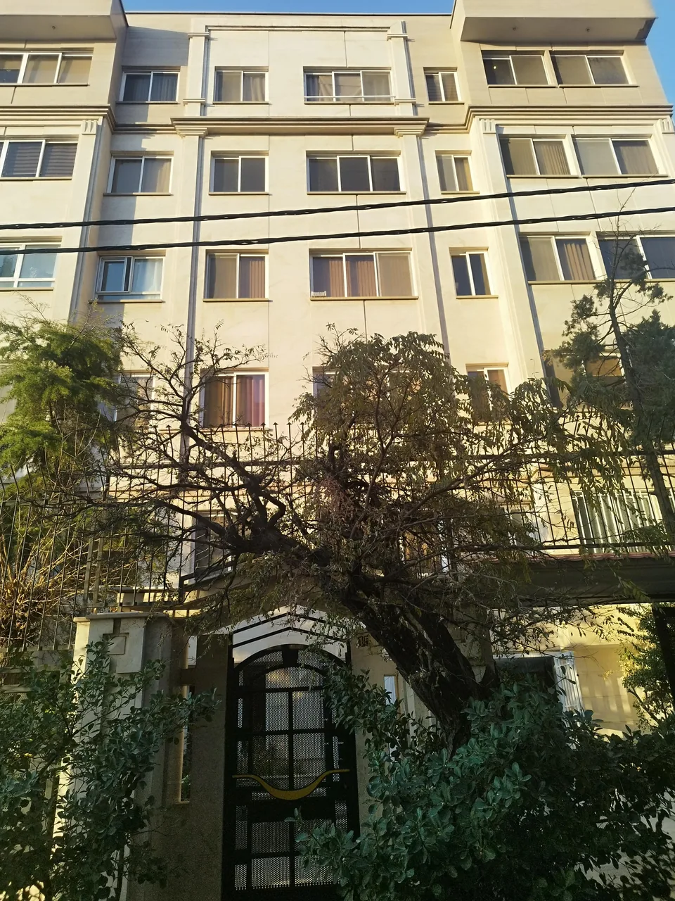 مجموعه ان دی تی کالا - تصویر 3