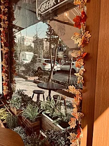 کافه لایولی