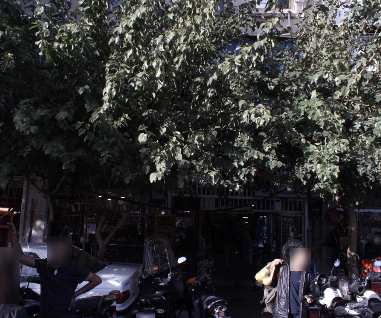 صنعت یار