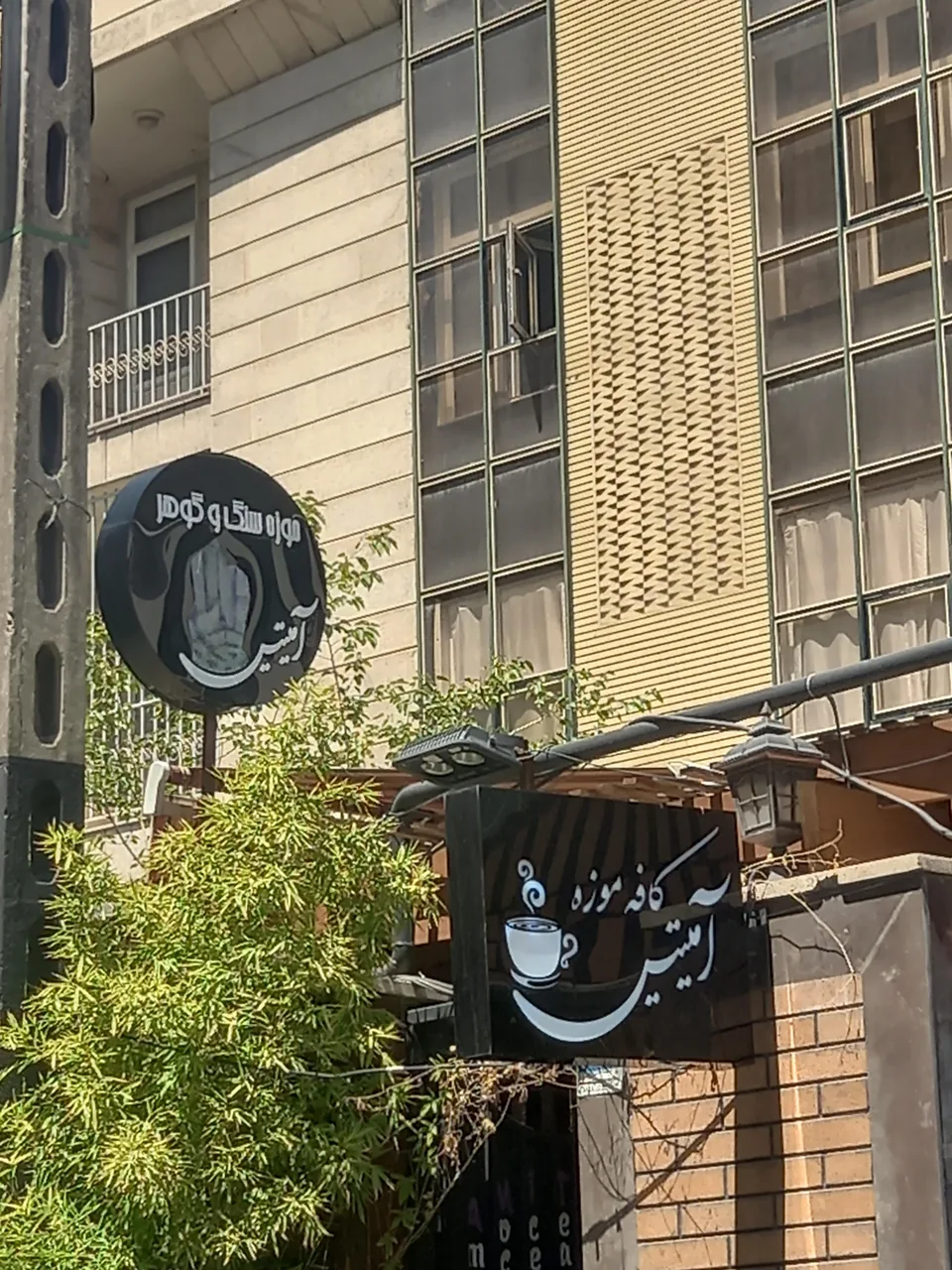 کافه موزه آمیتیس - تصویر 4