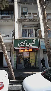 نگین کپی