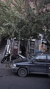 پایون پلیمر