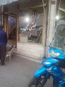 شارژ گاز پیکنیک