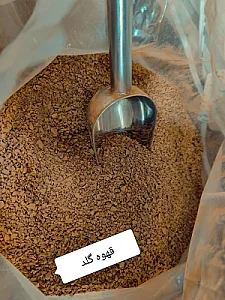 کافی شاپ سورنا