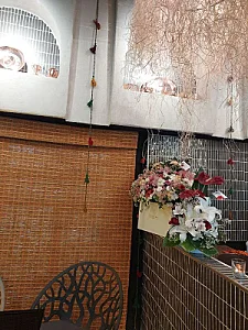 کافه گالری هانیس