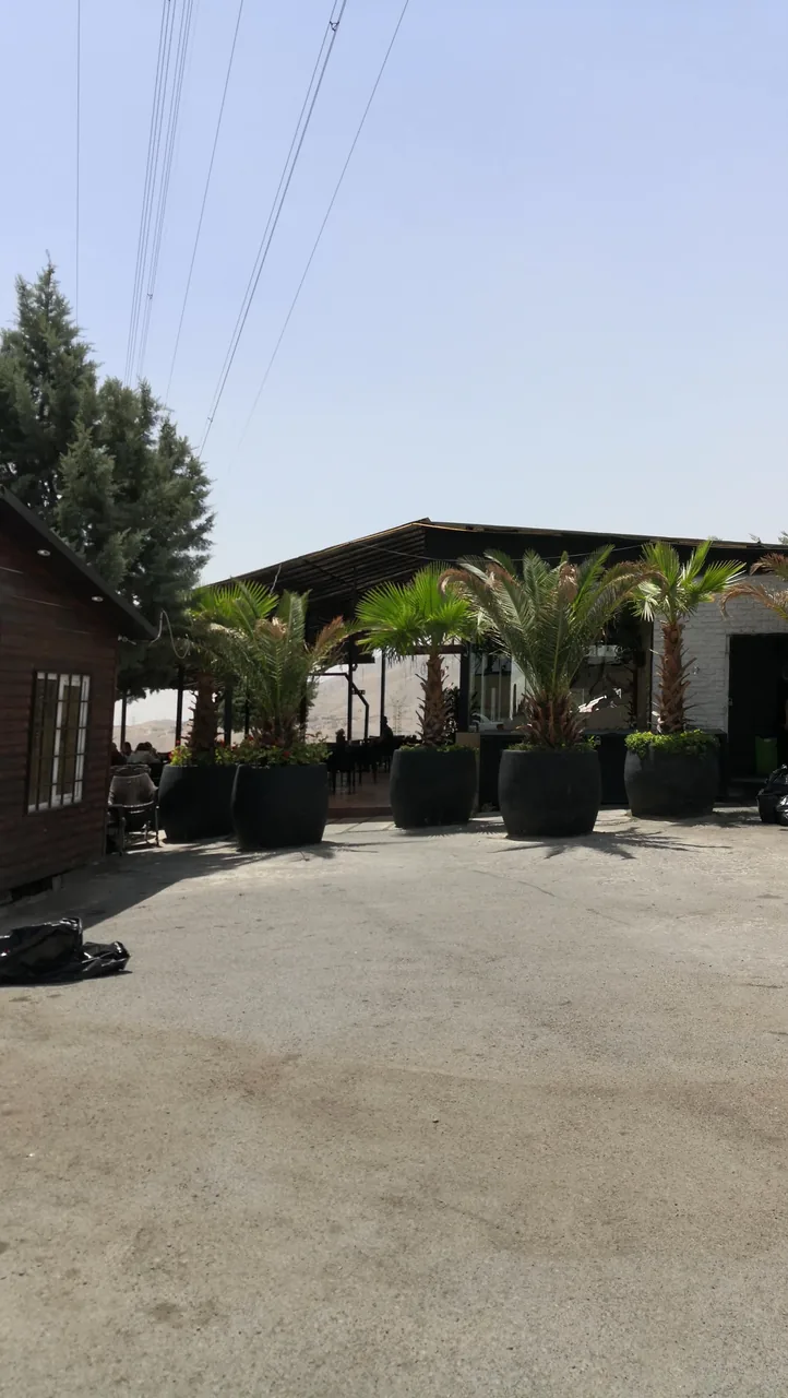 کافه سیتی تراس - تصویر 2