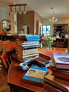 کافه آندودومینی