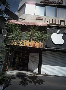 کافی شاپ آلبالوی سیاه