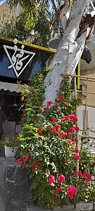 کافه هیچ خانه