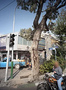 پیچ و مهره پایا
