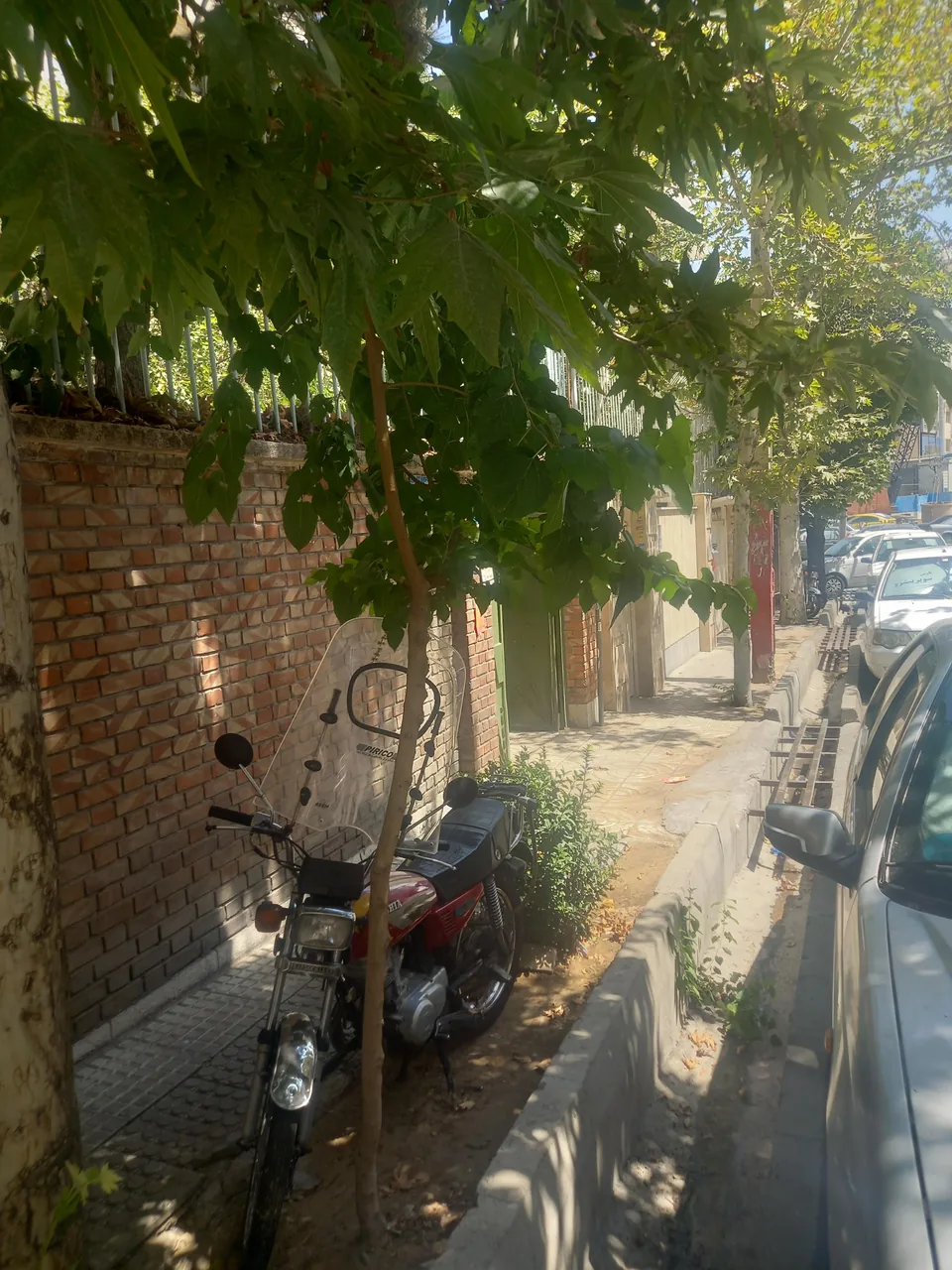 کافه گفتار - تصویر 2
