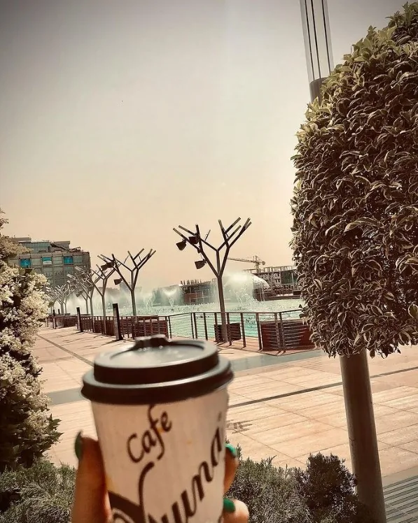 ویونا پلاس - تصویر 2