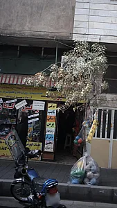 رنگین کمان