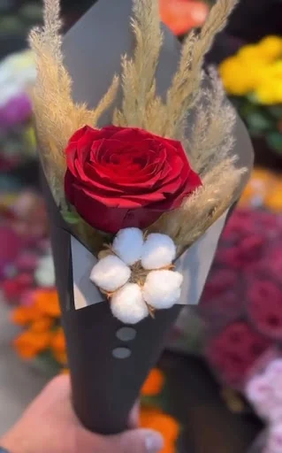 مهد کودک و دبستان دخترانه شادمان