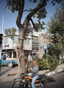 کارپیچ