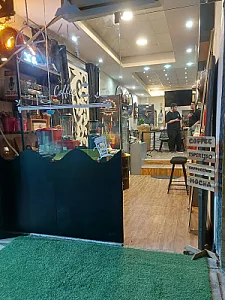 کافه وگاس