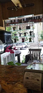 کافه بیالتی